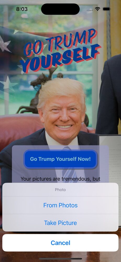 Go Trump Yourself screenshot 1