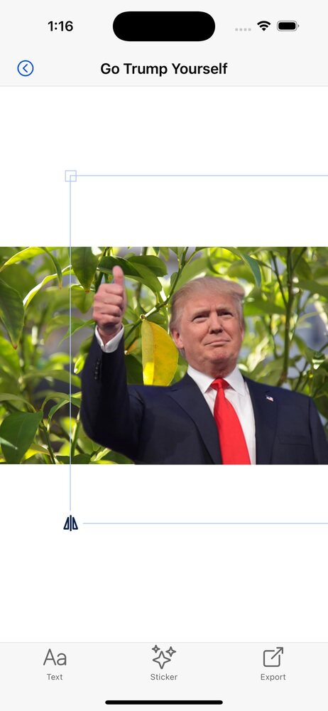 Go Trump Yourself screenshot 3