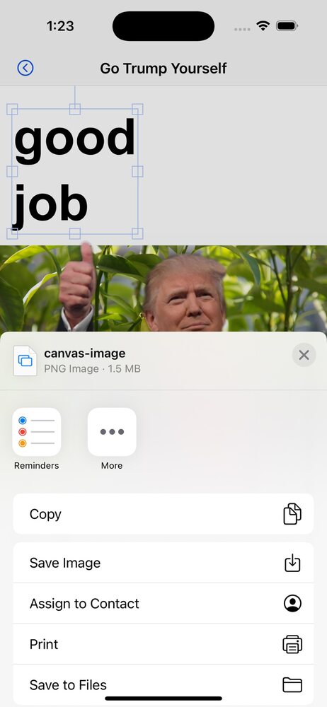 Go Trump Yourself screenshot 5