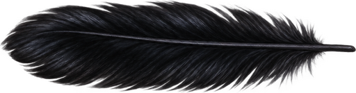 Black feather