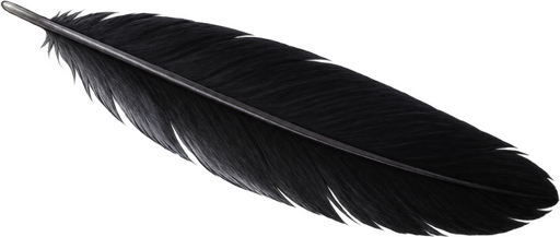 Black feather